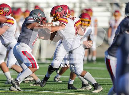 Thumbnail 1 in Brush @ Arvada photogallery.