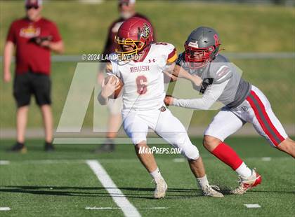 Thumbnail 1 in Brush @ Arvada photogallery.