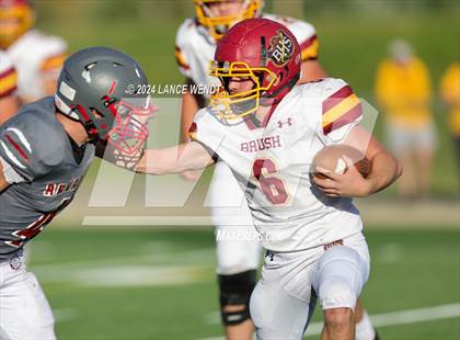 Thumbnail 2 in Brush @ Arvada photogallery.