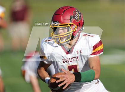 Thumbnail 2 in Brush @ Arvada photogallery.