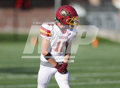 Thumbnail 2 in Brush @ Arvada photogallery.