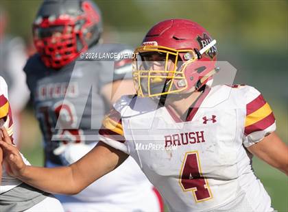 Thumbnail 3 in Brush @ Arvada photogallery.