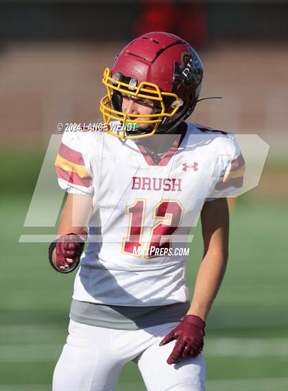 Thumbnail 2 in Brush @ Arvada photogallery.