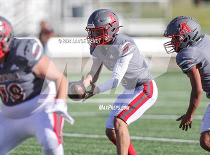 Thumbnail 2 in Brush @ Arvada photogallery.