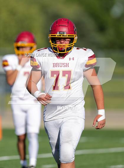 Thumbnail 2 in Brush @ Arvada photogallery.