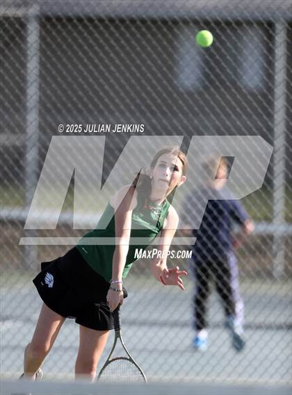Thumbnail 3 in Borah @ Meridian photogallery.