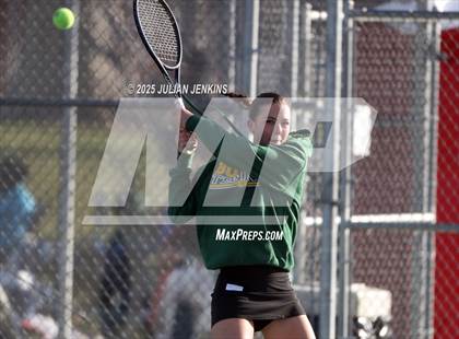 Thumbnail 1 in Borah @ Meridian photogallery.