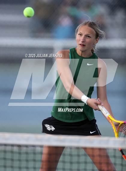 Thumbnail 2 in Borah @ Meridian photogallery.