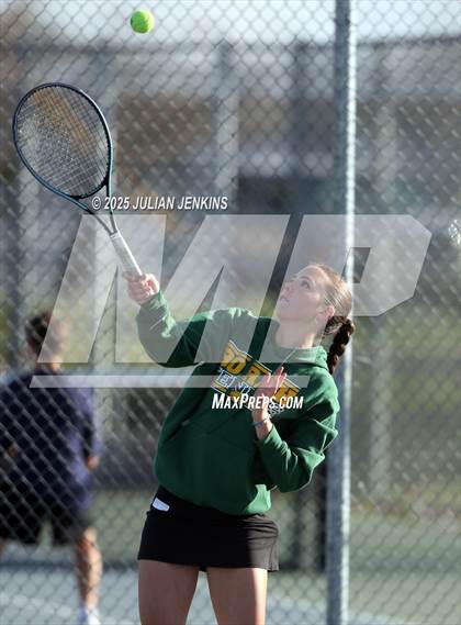 Thumbnail 3 in Borah @ Meridian photogallery.