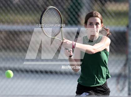 Thumbnail 2 in Borah @ Meridian photogallery.