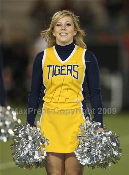 Thumbnail 3 in Vista Ridge @ Stony Point photogallery.