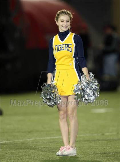Thumbnail 2 in Vista Ridge @ Stony Point photogallery.