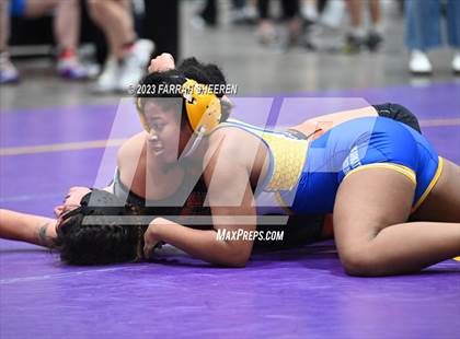 Thumbnail 1 in 2023 KC Stampede Girls photogallery.