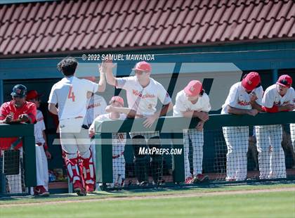 Thumbnail 1 in Los Alamitos @ Harvard-Westlake (CIF SS D1 First Round) photogallery.