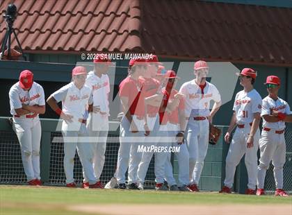 Thumbnail 2 in Los Alamitos @ Harvard-Westlake (CIF SS D1 First Round) photogallery.