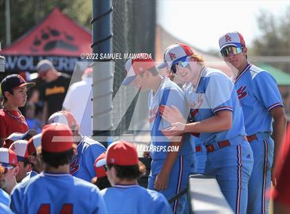 Thumbnail 1 in Los Alamitos @ Harvard-Westlake (CIF SS D1 First Round) photogallery.