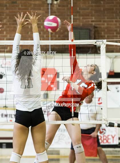Thumbnail 1 in Modesto @ Pitman photogallery.
