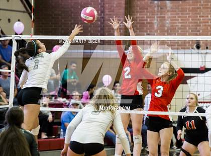Thumbnail 1 in Modesto @ Pitman photogallery.