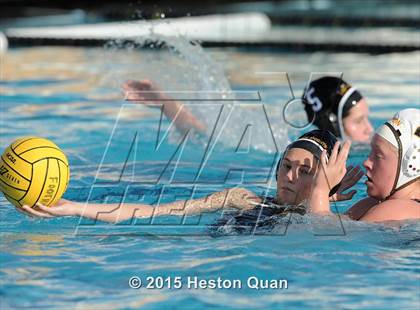 Thumbnail 2 in Canyon @ Foothill photogallery.