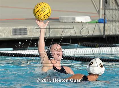 Thumbnail 1 in Canyon @ Foothill photogallery.