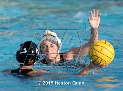 Thumbnail 1 in Canyon @ Foothill photogallery.