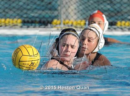 Thumbnail 1 in Canyon @ Foothill photogallery.