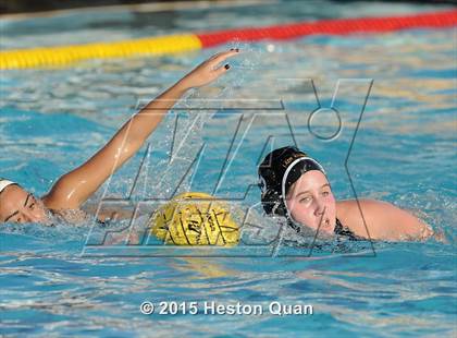 Thumbnail 1 in Canyon @ Foothill photogallery.