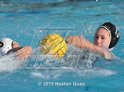 Thumbnail 1 in Canyon @ Foothill photogallery.