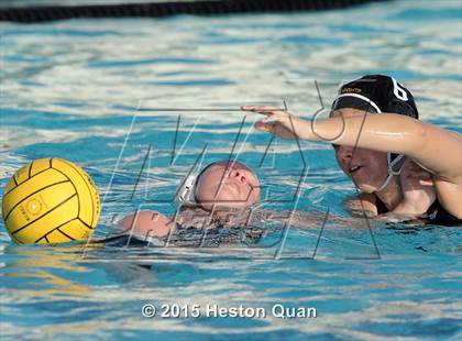 Thumbnail 2 in Canyon @ Foothill photogallery.