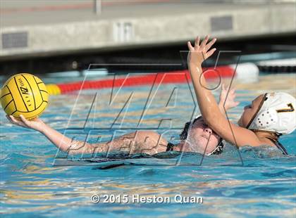 Thumbnail 2 in Canyon @ Foothill photogallery.
