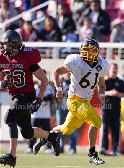 Thumbnail 2 in Pine View vs. Cottonwood (4A Semifinal) photogallery.