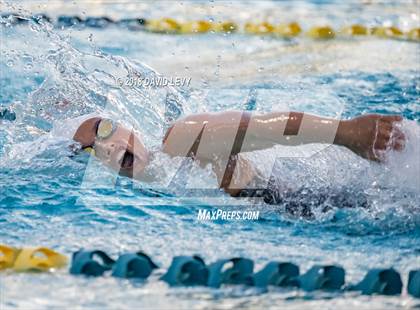 Thumbnail 1 in AIA D1 Swimming Finals photogallery.