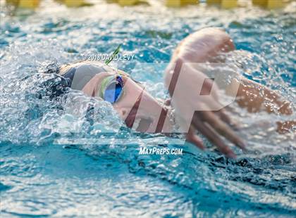 Thumbnail 2 in AIA D1 Swimming Finals photogallery.