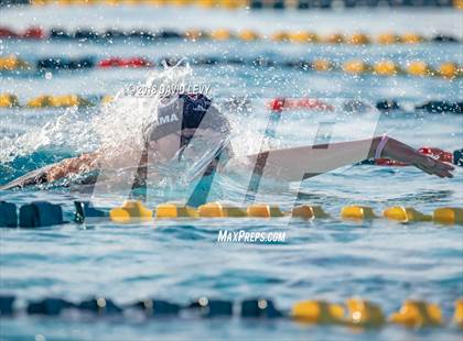 Thumbnail 1 in AIA D1 Swimming Finals photogallery.