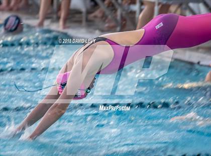 Thumbnail 2 in AIA D1 Swimming Finals photogallery.