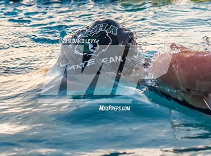 Thumbnail 2 in AIA D1 Swimming Finals photogallery.