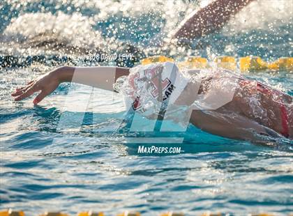 Thumbnail 3 in AIA D1 Swimming Finals photogallery.