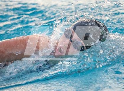 Thumbnail 3 in AIA D1 Swimming Finals photogallery.