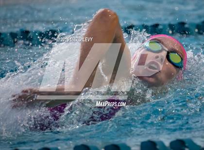 Thumbnail 3 in AIA D1 Swimming Finals photogallery.