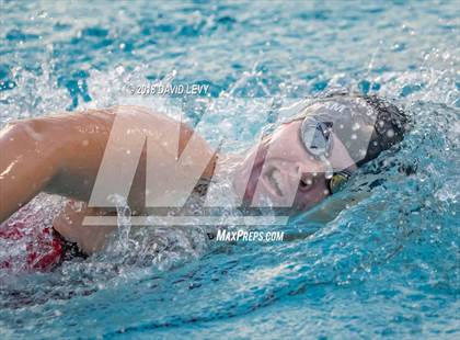 Thumbnail 1 in AIA D1 Swimming Finals photogallery.