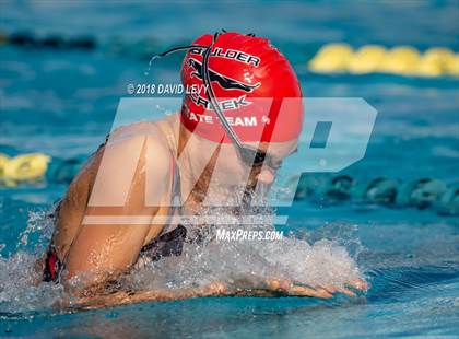 Thumbnail 3 in AIA D1 Swimming Finals photogallery.