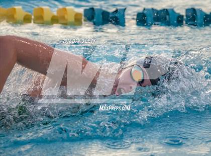 Thumbnail 1 in AIA D1 Swimming Finals photogallery.
