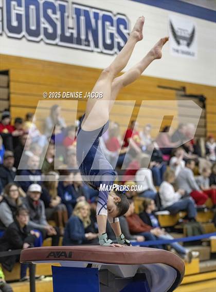 Thumbnail 3 in WIAA Badger Conference (Vault) photogallery.