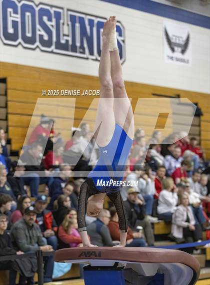 Thumbnail 2 in WIAA Badger Conference (Vault) photogallery.