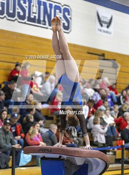 Thumbnail 2 in WIAA Badger Conference (Vault) photogallery.
