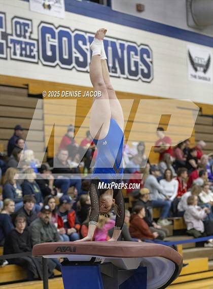 Thumbnail 2 in WIAA Badger Conference (Vault) photogallery.