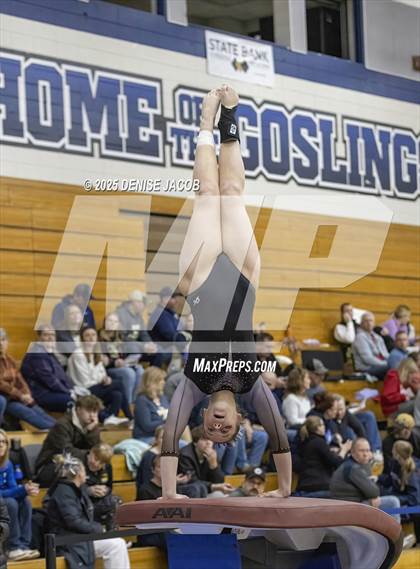 Thumbnail 1 in WIAA Badger Conference (Vault) photogallery.
