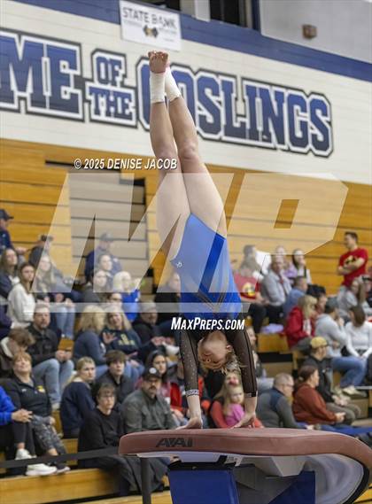 Thumbnail 1 in WIAA Badger Conference (Vault) photogallery.
