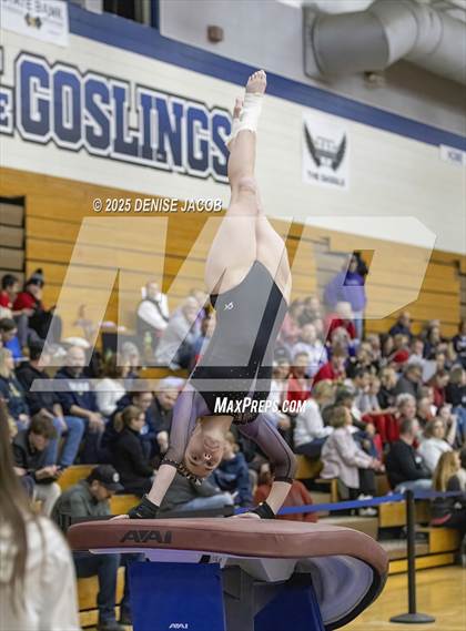 Thumbnail 1 in WIAA Badger Conference (Vault) photogallery.