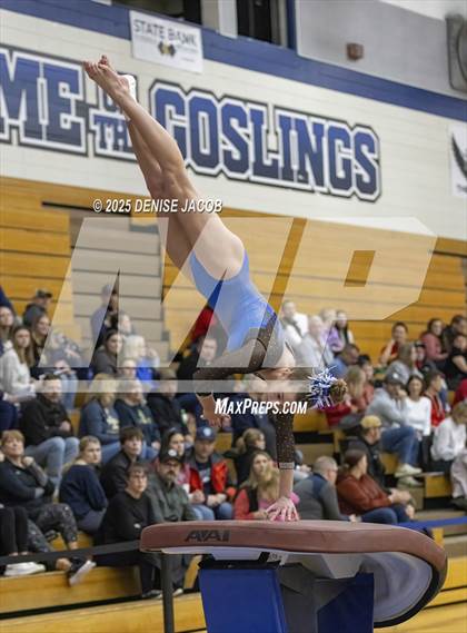 Thumbnail 1 in WIAA Badger Conference (Vault) photogallery.